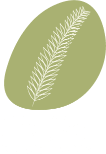 אלדאה תיירות ניר עם